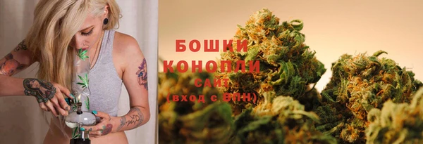 гидра Киренск