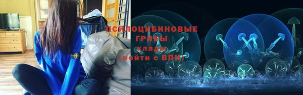 гидра Киренск
