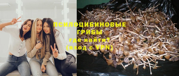 гидра Киренск