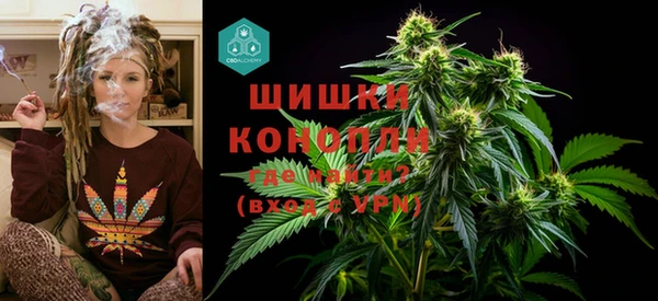 гидра Киренск