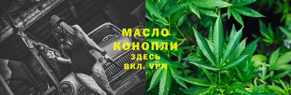 гидра Киренск